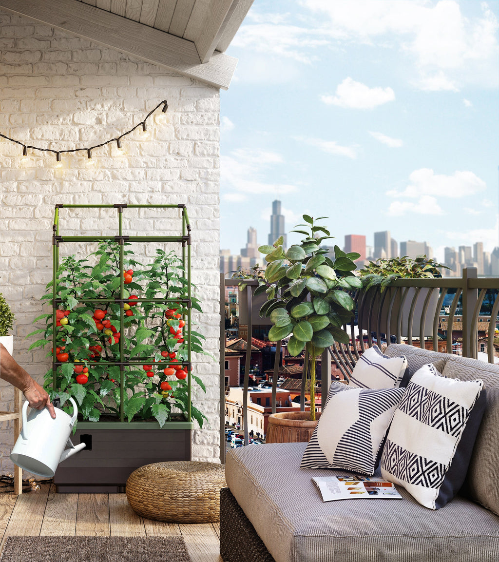 City Jungle Raised Bed Planter Box with Trellis