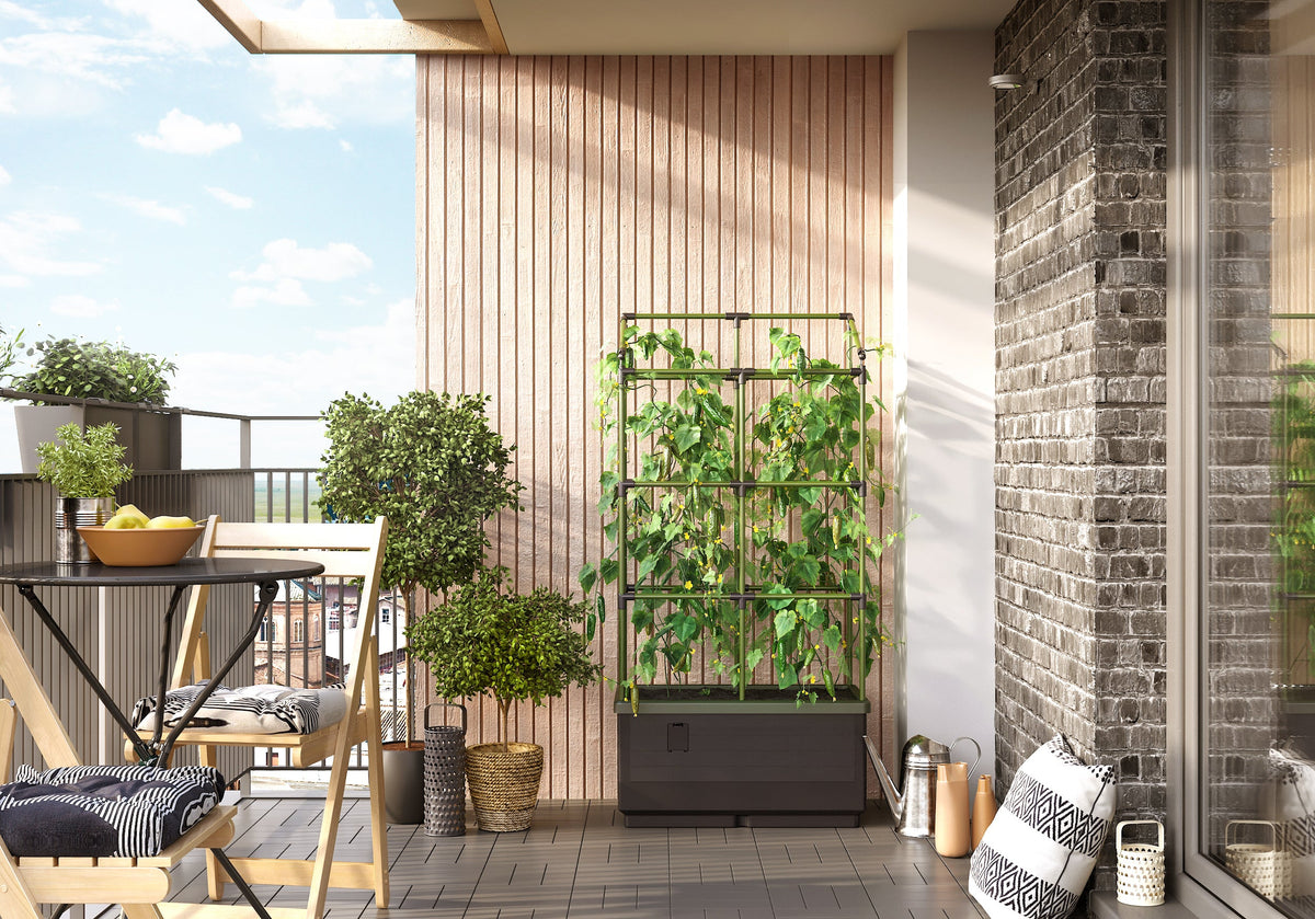 City Jungle Raised Bed Planter Box with Trellis