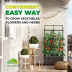 City Jungle Raised Bed Planter Box with Trellis