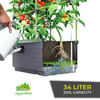 City Jungle Raised Bed Planter Box with Trellis