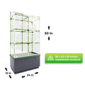 City Jungle Raised Bed Planter Box with Trellis