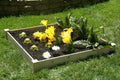 Eden™ 4'X5"X4' Fir Wood Raised Garden Bed