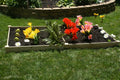 Eden™ 4'X5"X8'X11' Duo Step Layer Fir Wood Garden Bed