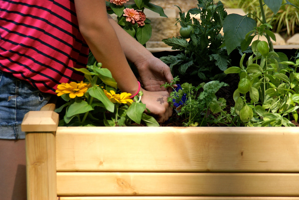 Eden™ 3'X4' Large Planter