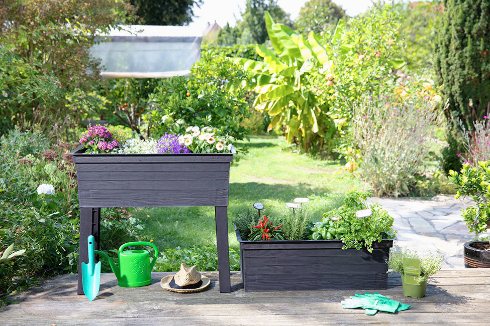 Urban Balcony Raised Bed/Planter