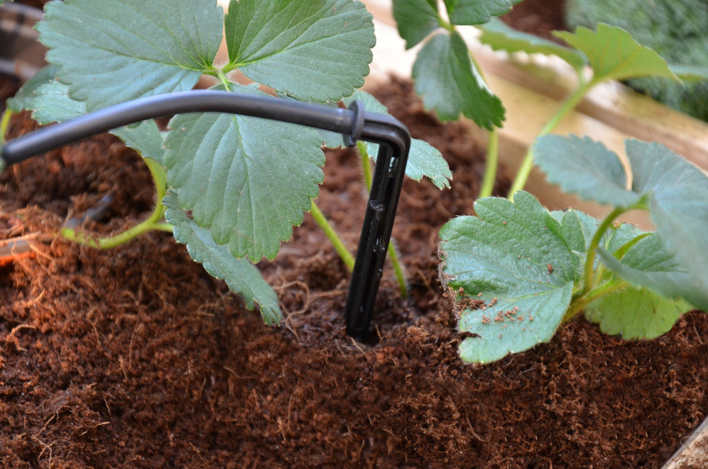 Palram-Canopia® Drip Irrigation Kit