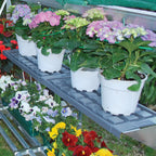 Twin Shelf Kits for Palram-Canopia® Greenhouses