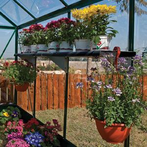 Twin Shelf Kits for Palram-Canopia® Greenhouses