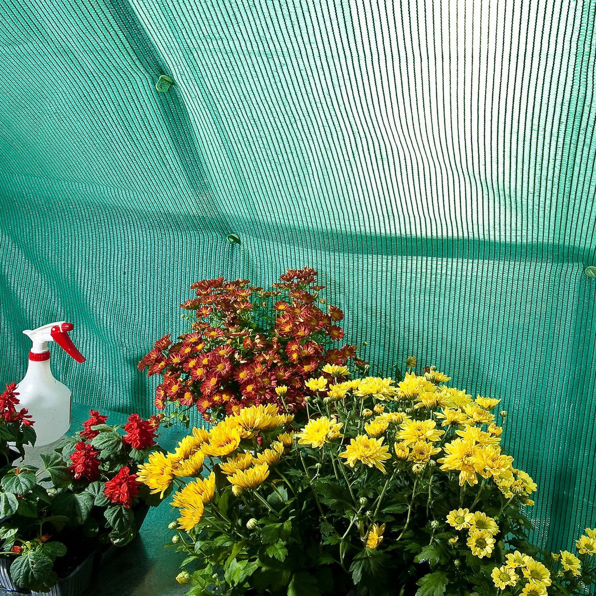 Interior Shade Cloth 8X8 for Palram-Canopia® Greenhouses