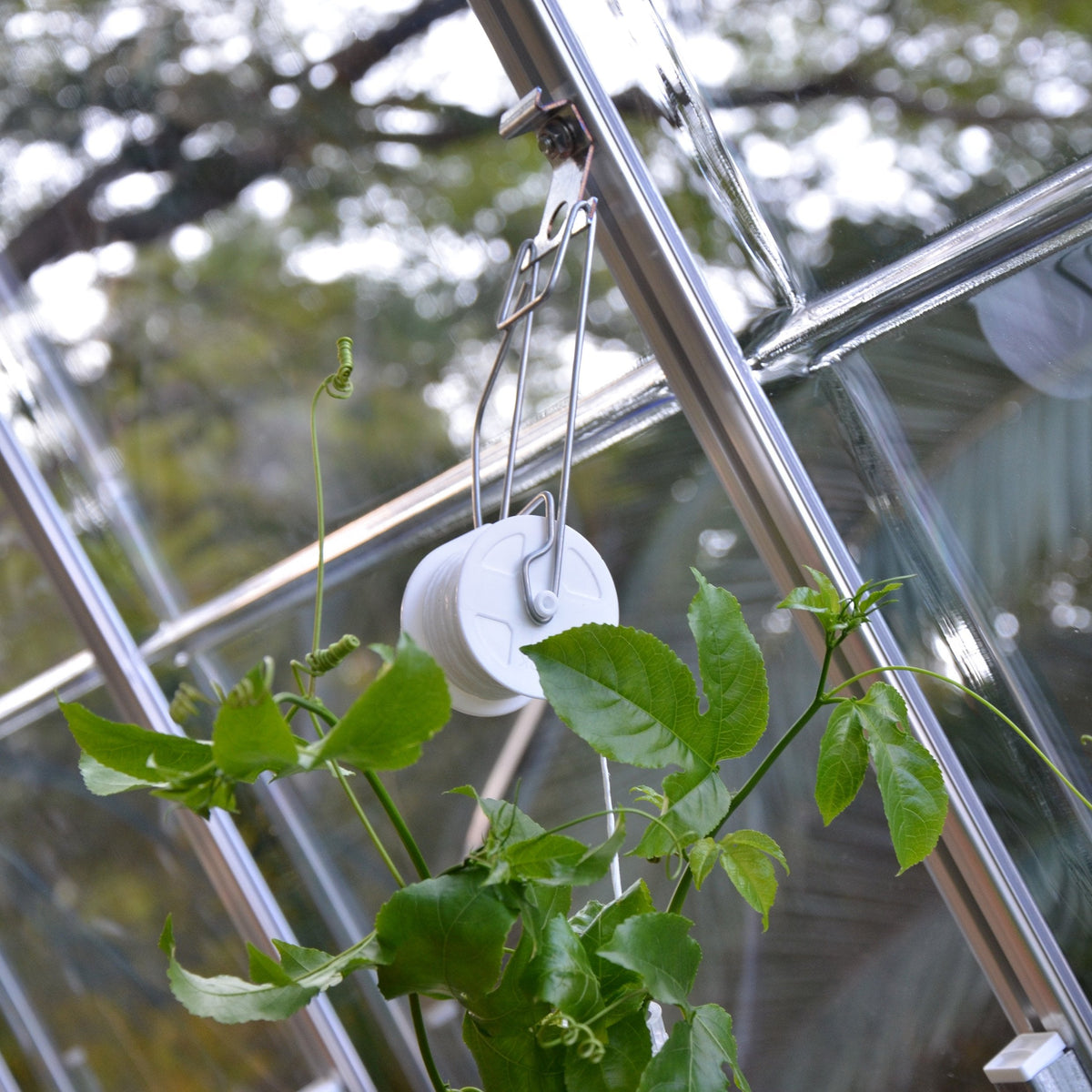 Trellising Kit Pro for Palram-Canopia® Greenhouses