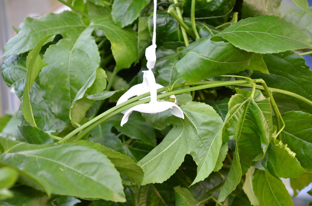 Trellising Kit Pro for Palram-Canopia® Greenhouses