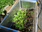 BioStar 1500 Premium Cold-Frame