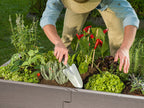 Kombi Raised Bed & Cold Frame Combination