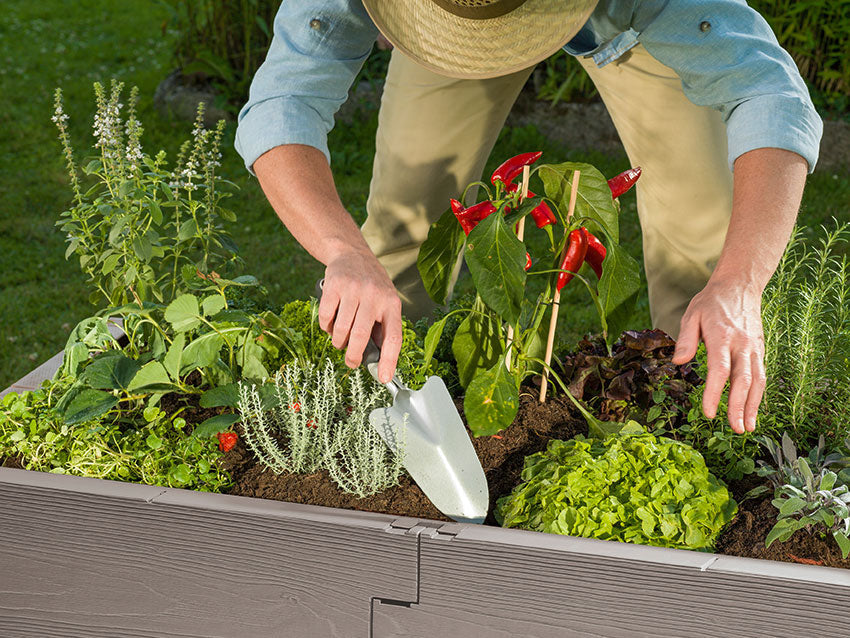 Timber Raised Bed